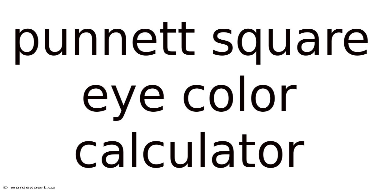 Punnett Square Eye Color Calculator