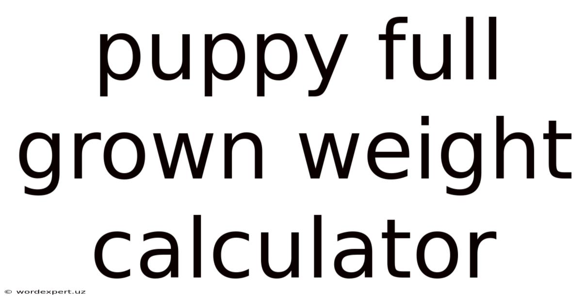 Puppy Full Grown Weight Calculator