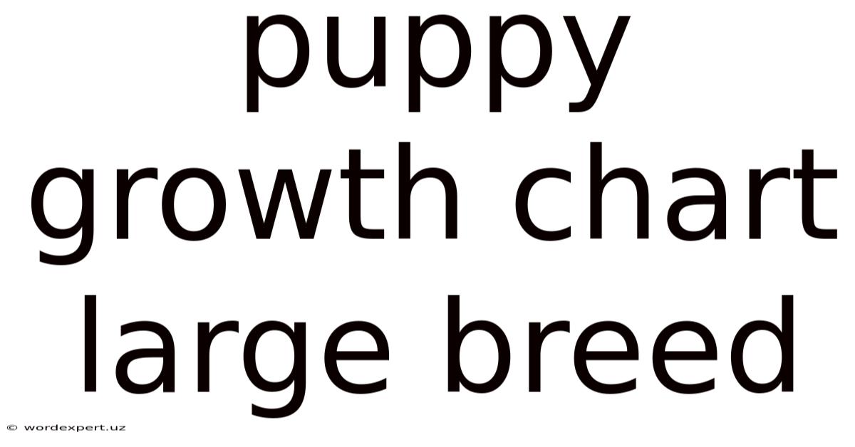 Puppy Growth Chart Large Breed