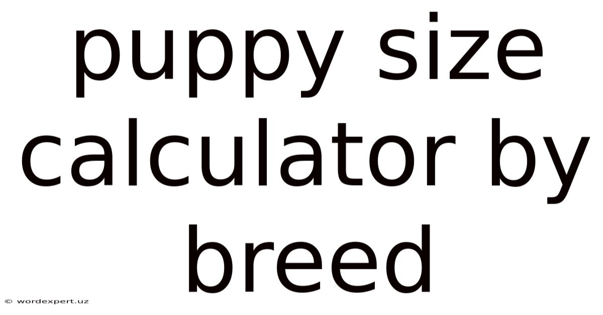 Puppy Size Calculator By Breed