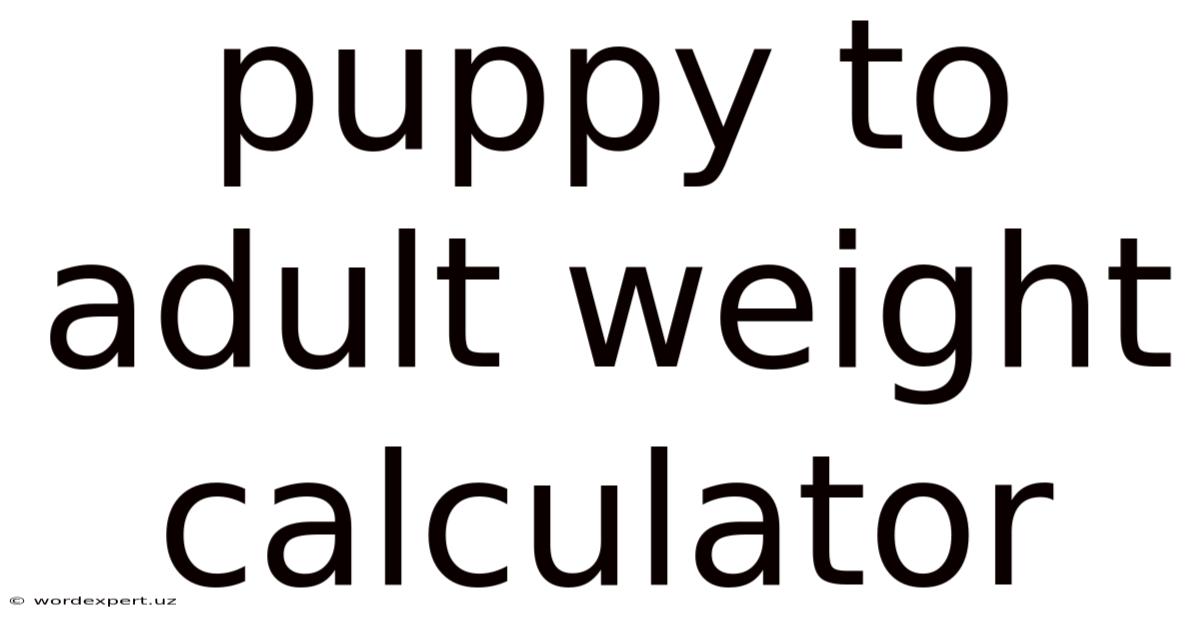 Puppy To Adult Weight Calculator