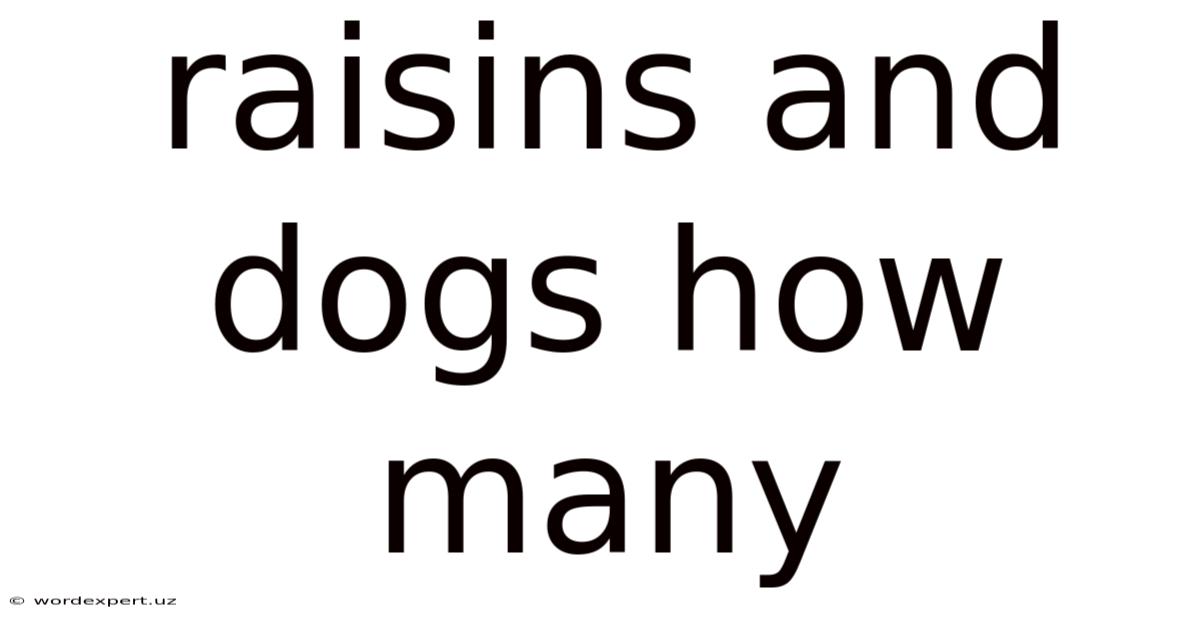 Raisins And Dogs How Many