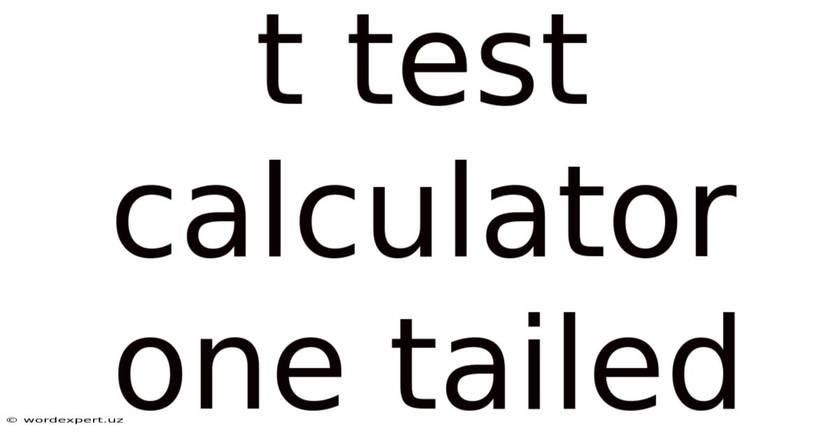 T Test Calculator One Tailed