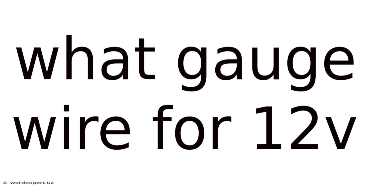 What Gauge Wire For 12v