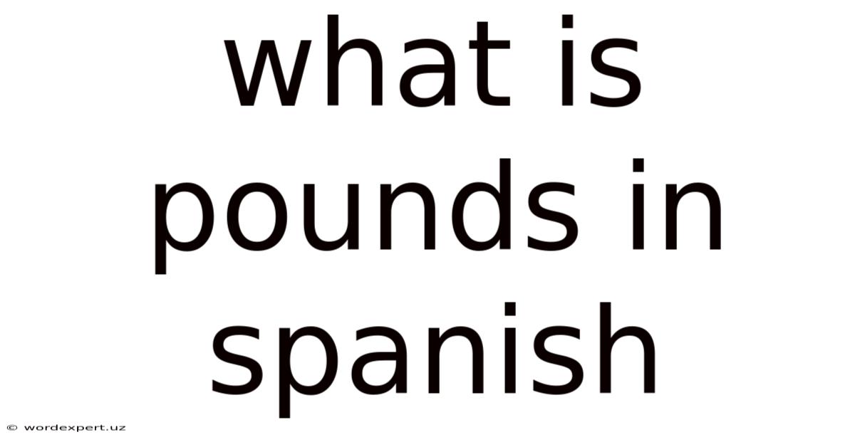 What Is Pounds In Spanish