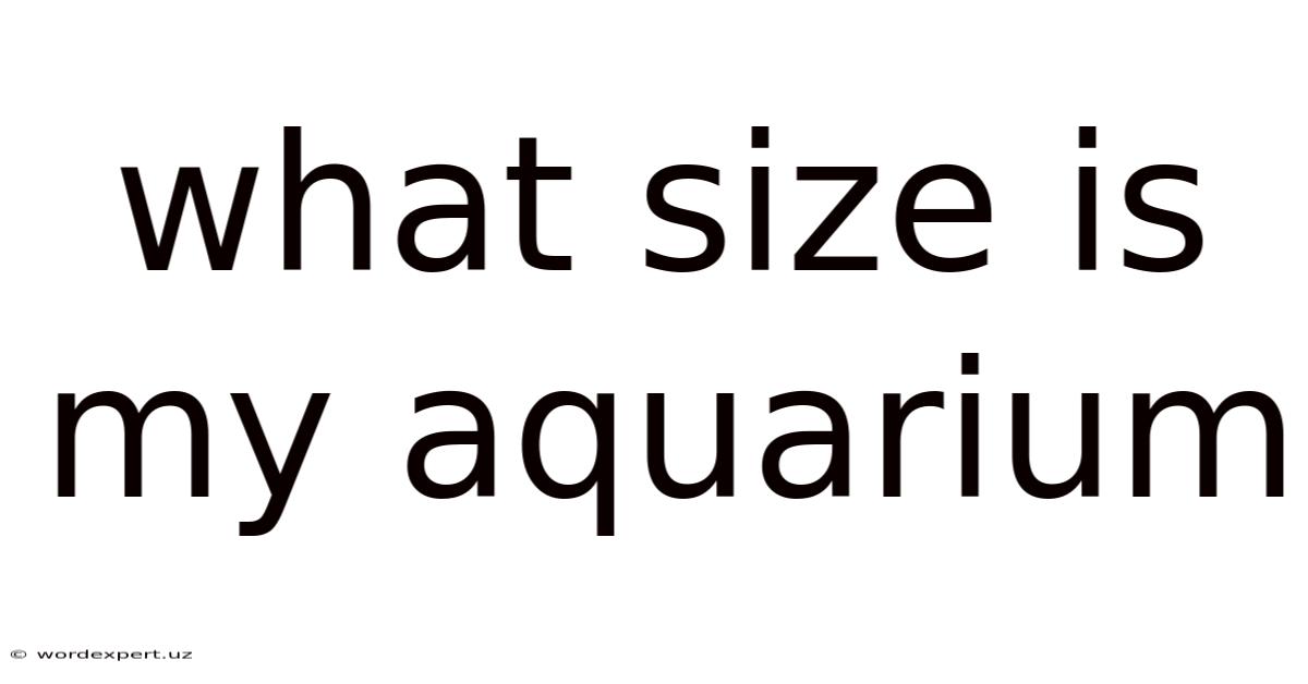 What Size Is My Aquarium