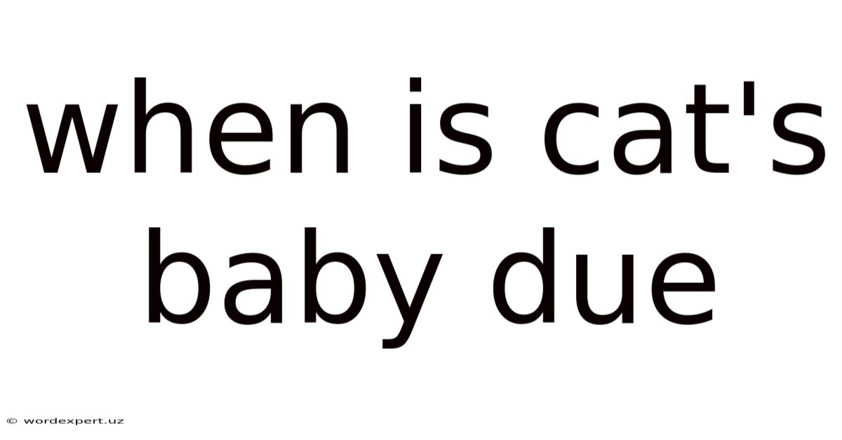 When Is Cat's Baby Due
